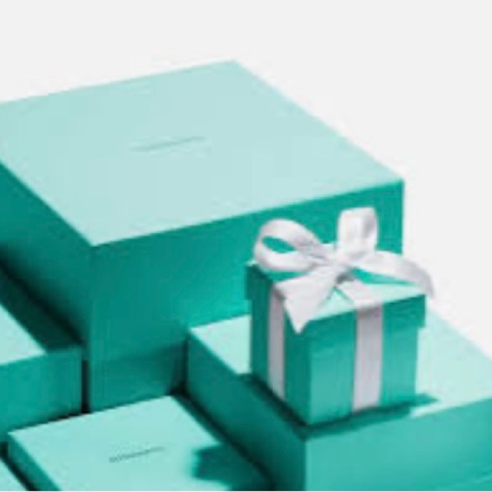 Tiffany & Co Large Zip Clutch/Wallet 👰🏻 - Picture 10 of 12